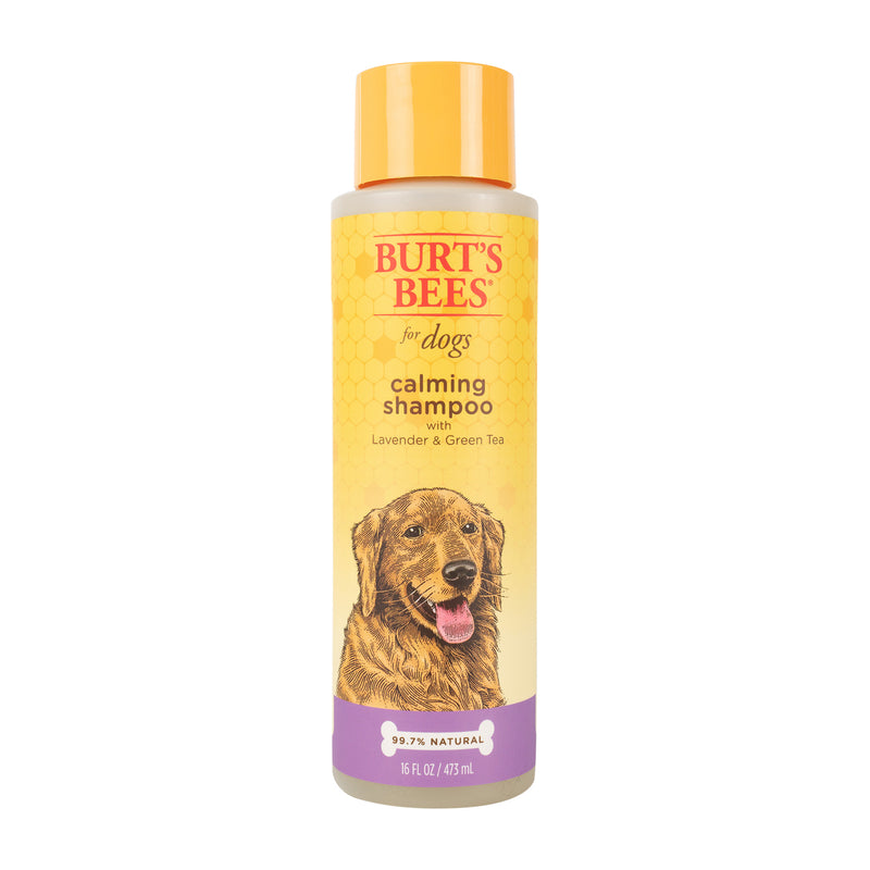 Burt's Bees for Pets Calming Dog Shampoo with Lavender and Green Tea, 95% Natural Origin Formulas, Soothing Canine Cleanser - Gentle Wash, 16 oz