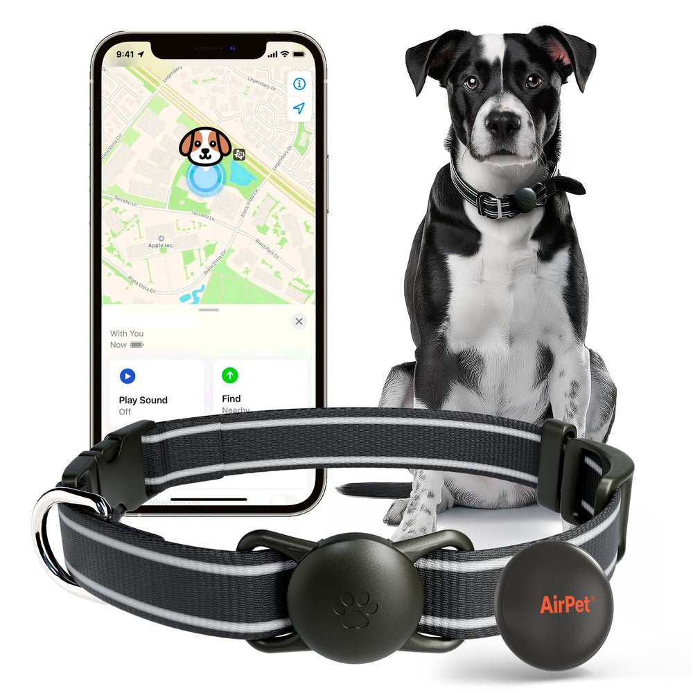 AirPet Locator Tag with Collar Holder