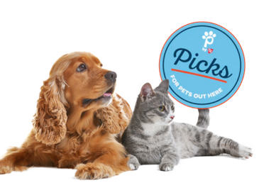 Petsense Picks